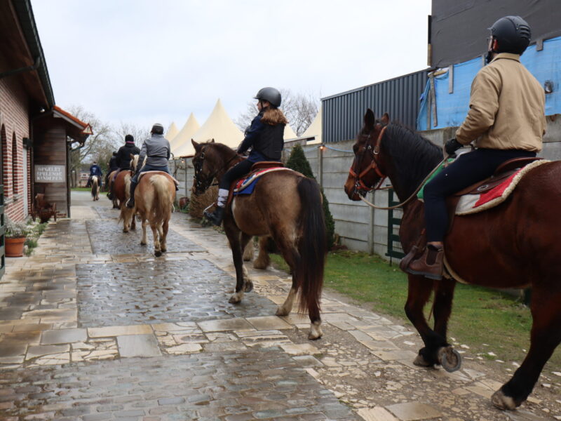 Winterdagtocht